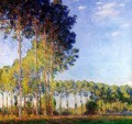 Álamos a orillas del río Epte visto desde el bosque de Marsh Claude Monet